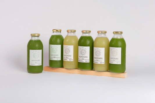 PLAN SALUD INTESTINAL